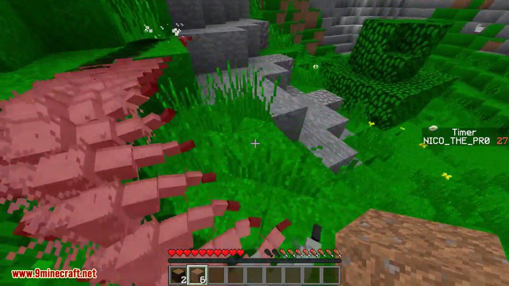 Silverfish Survival Challenge Command Block Screenshots 6