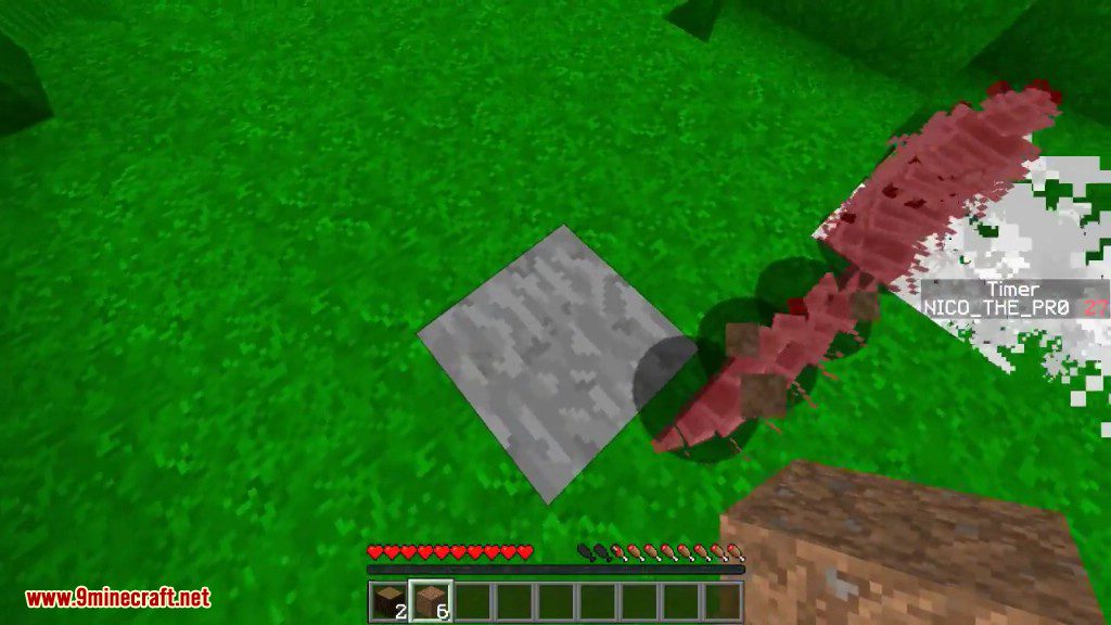 Silverfish Survival Challenge Command Block Screenshots 7