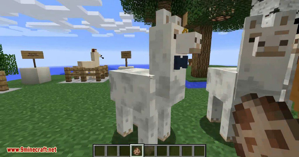  BEDWARS LLAMAS