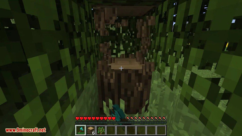 Quick Leaf Decay Mod Screenshots 2