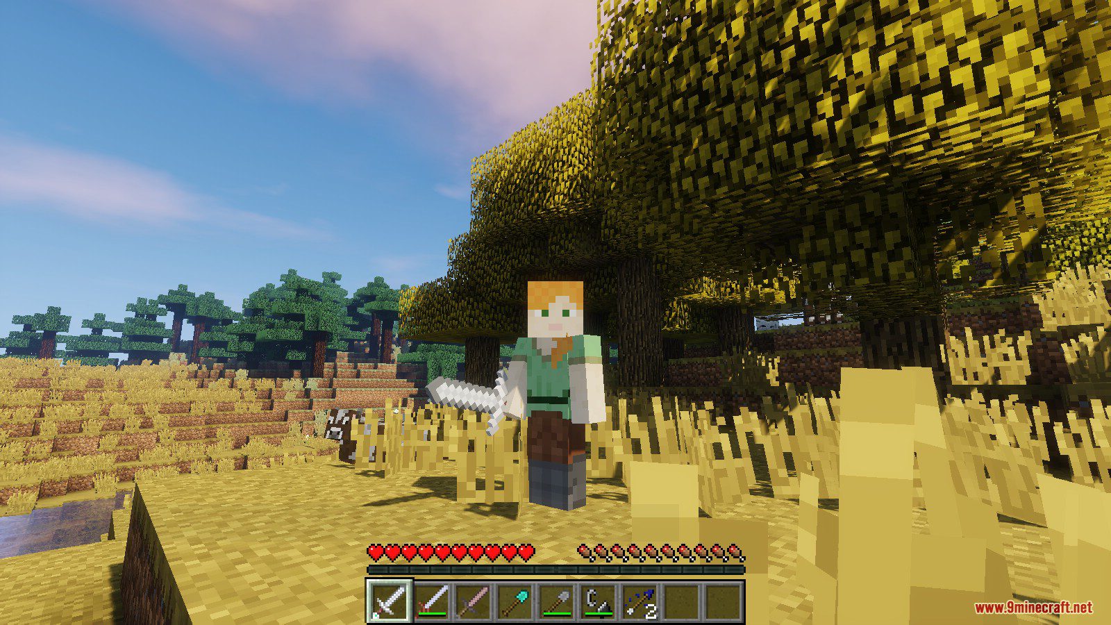 Land of the Sun Resource Pack Screenshots 8