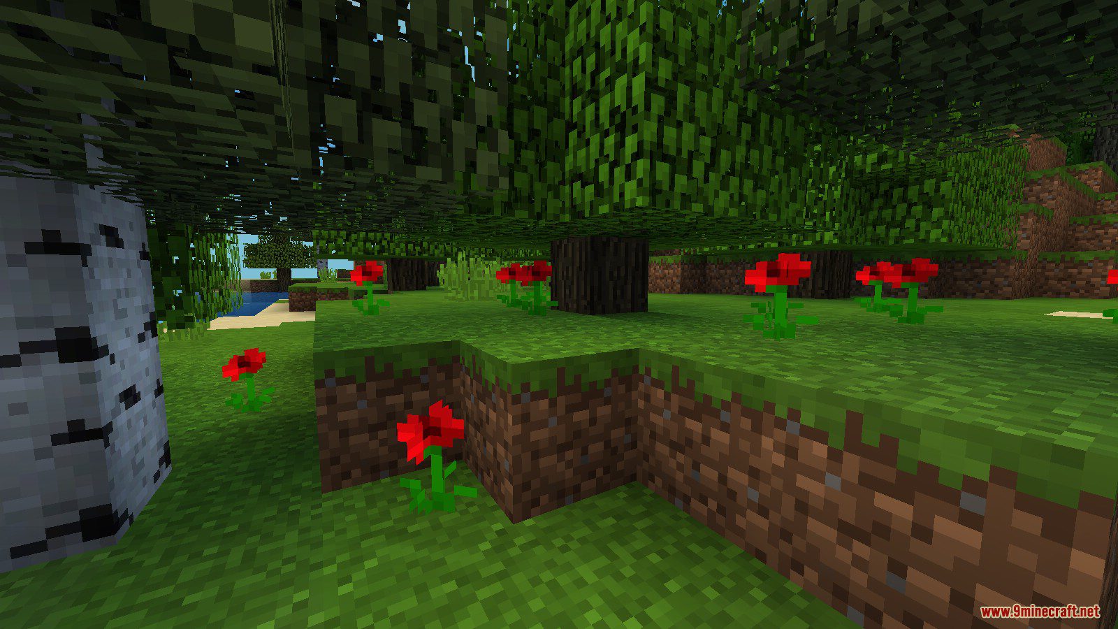 Better Vanilla 16x Resource Pack Screenshots 4