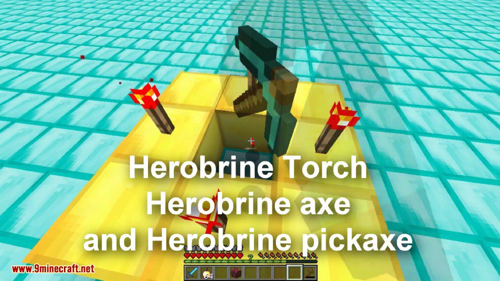 Herobrine Command Block Screenshots 20