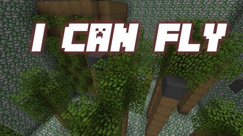 I Can Fly Map Thumbnail