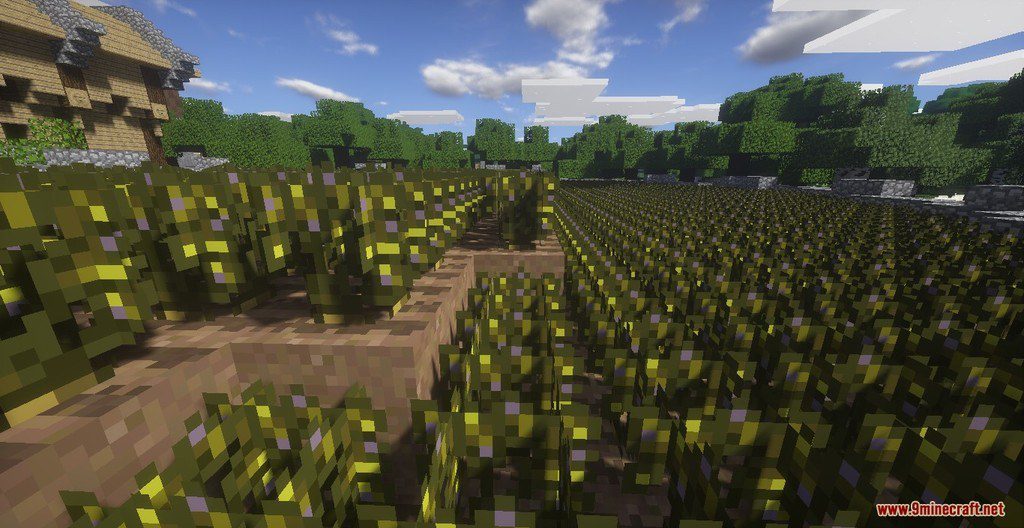 PixaGraph Resource Pack Screenshots 1