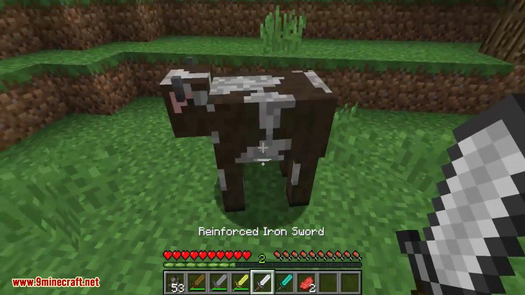 Reinforced Diamond Sword Mod Screenshots 3