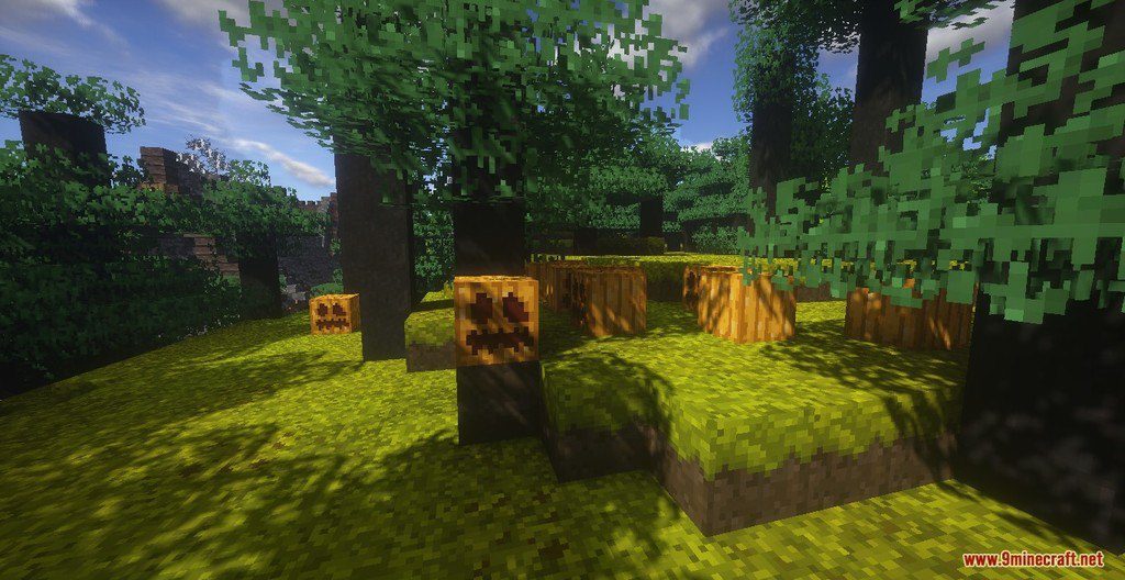 RangerCraft Summer Day Resource Pack Screenshots 4