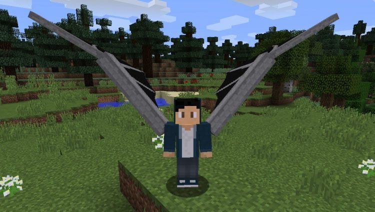 Dragon Wings Elytra Mod Screenshots 1