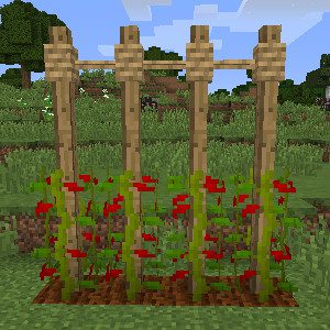 Rustic Mod Features 30