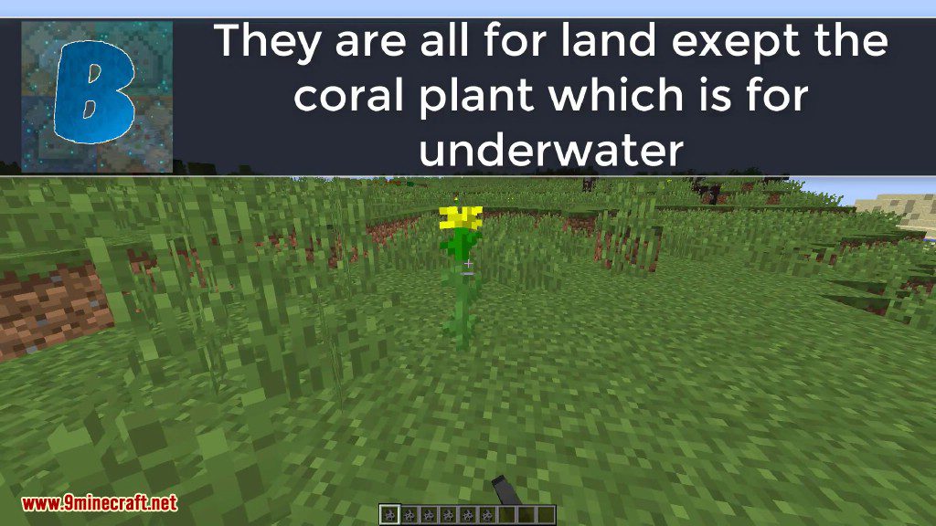 More Plants Command Block Screenshots 1