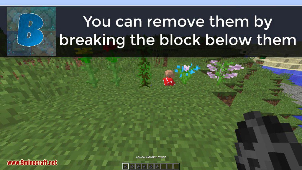 More Plants Command Block Screenshots 2