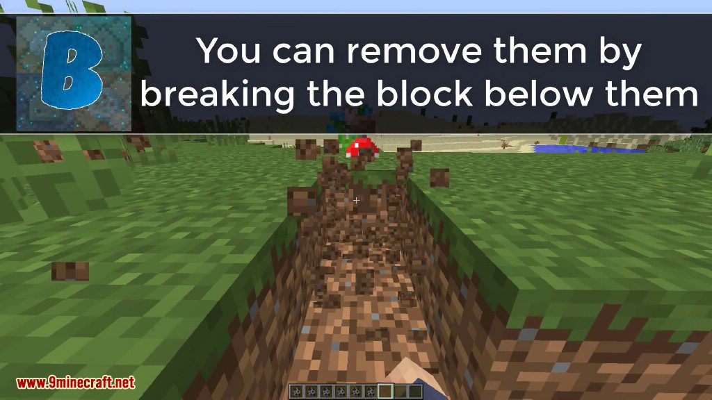 More Plants Command Block Screenshots 3