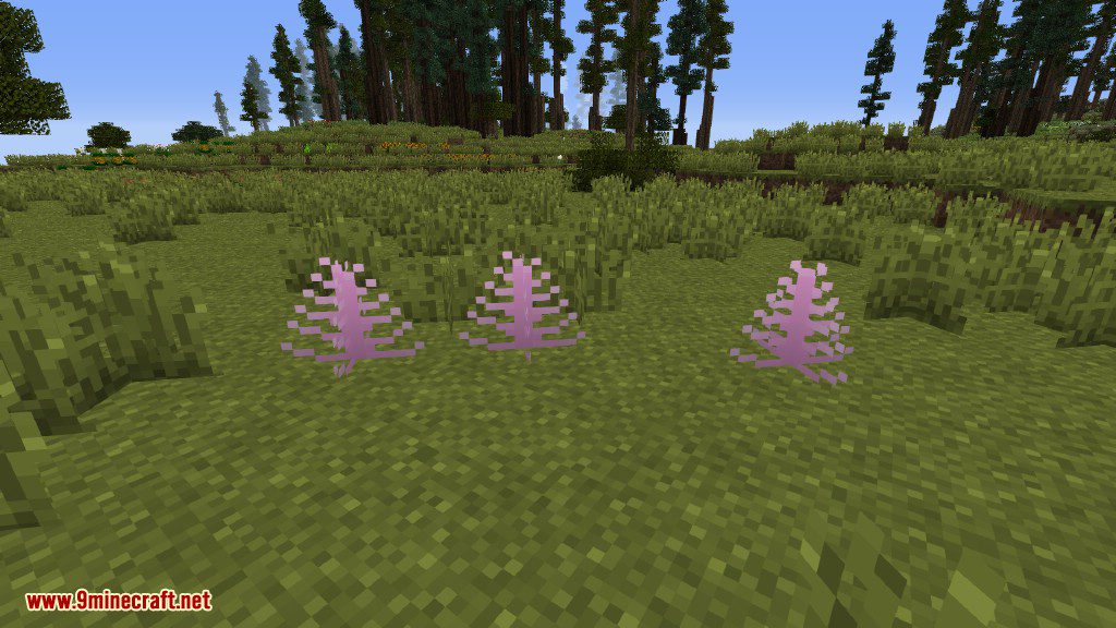 Plants Mod Features 11