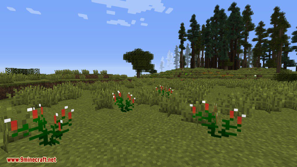 Plants Mod Features 14