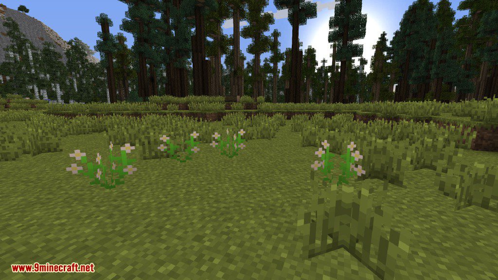 Plants Mod Features 16