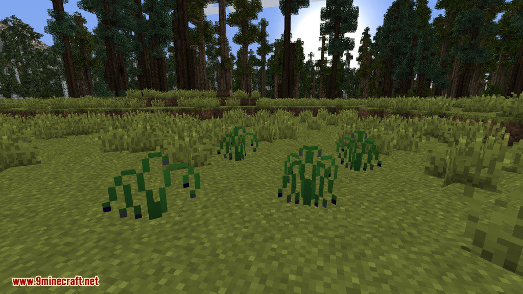 Plants Mod Features 17