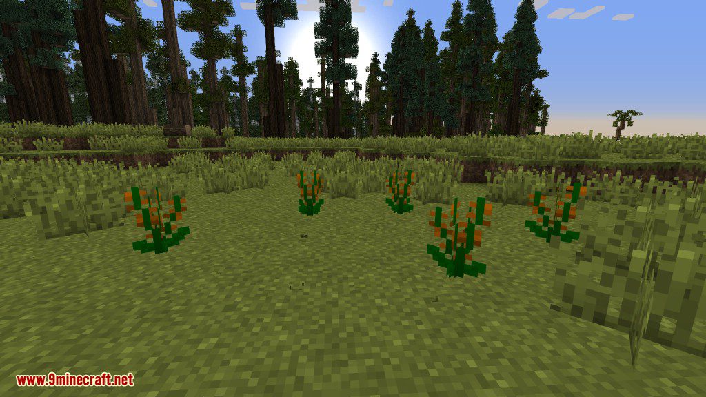 Plants Mod Features 20