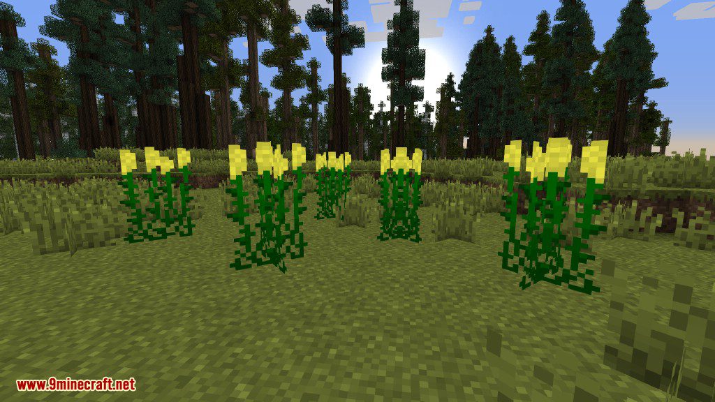 Plants Mod Features 22