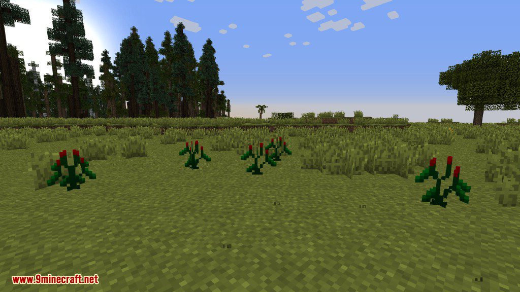 Plants Mod Features 29