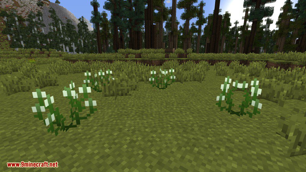 Plants Mod Features 3