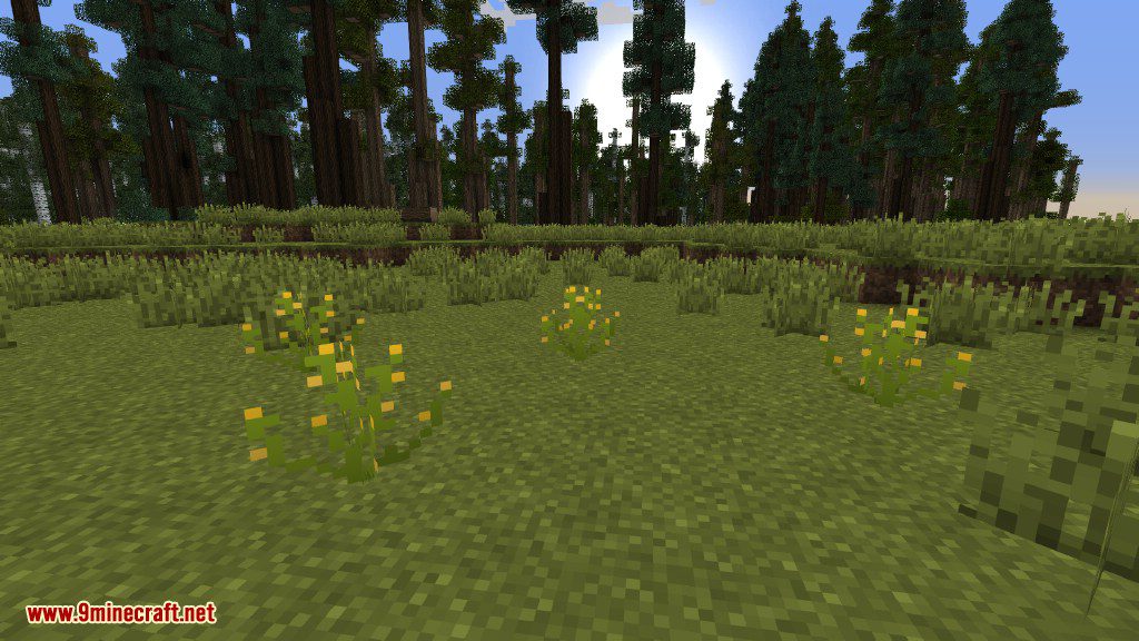 Plants Mod Features 33