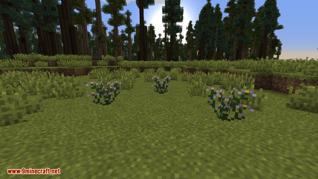 Plants Mod Features 34