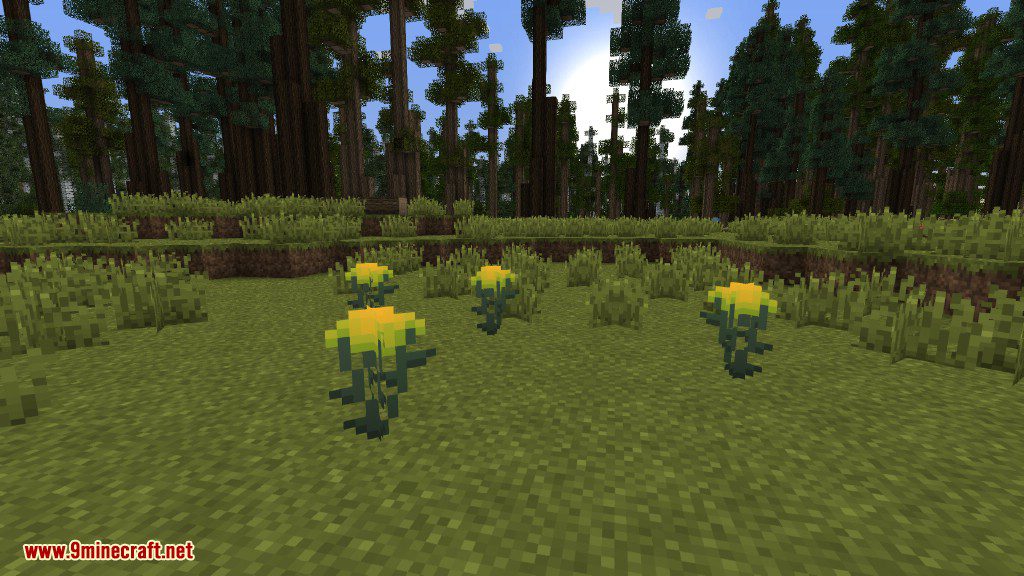 Plants Mod Features 41