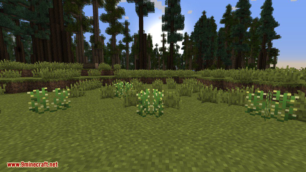 Plants Mod Features 44