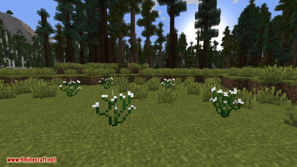 Plants Mod Features 45