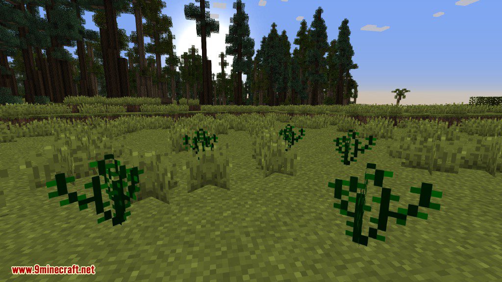 Plants Mod Features 7