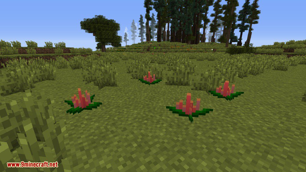 Plants Mod Features 9