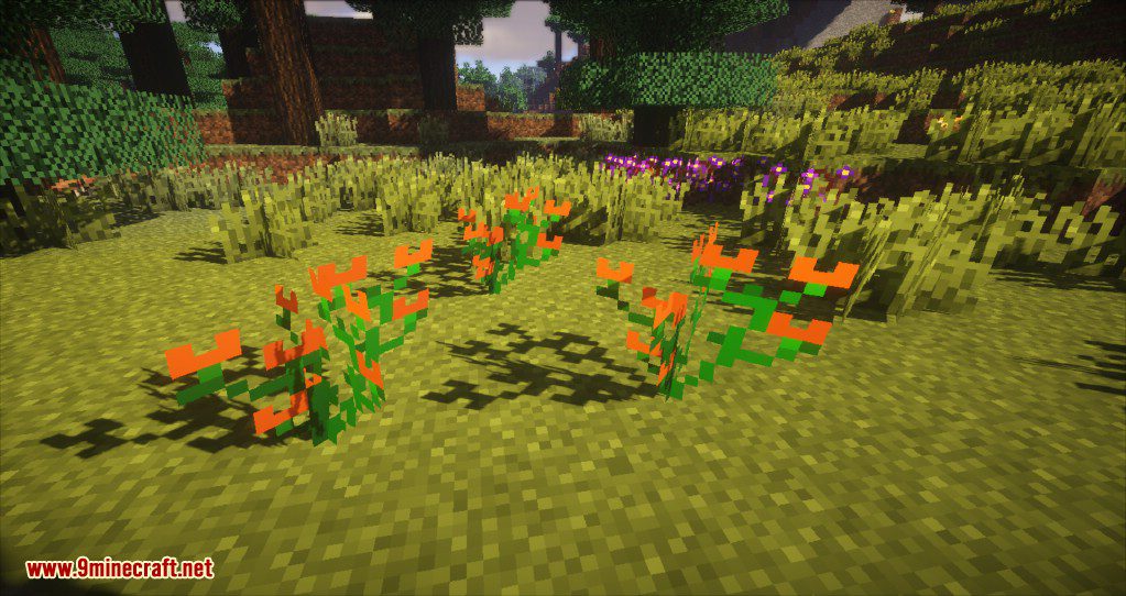 Plants Mod Screenshots 11