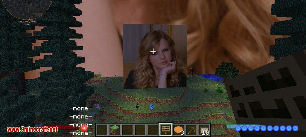 SignPicture Mod Screenshots 8