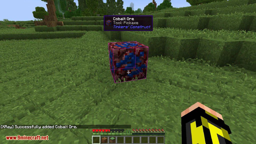 74  Minecraft 1181 xray forge 