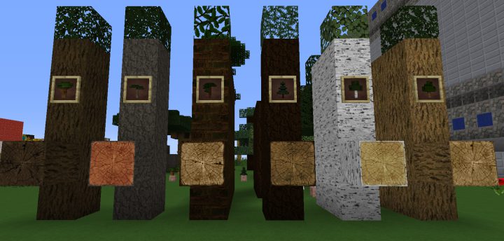 Ordinary Wonders Resource Pack Screenshots 12