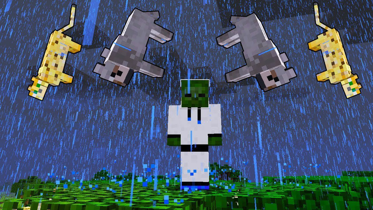 Raining Cats and Dogs Mod