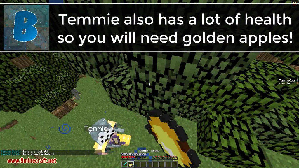 Temmie Boss Battle Command Block Screenshots 15