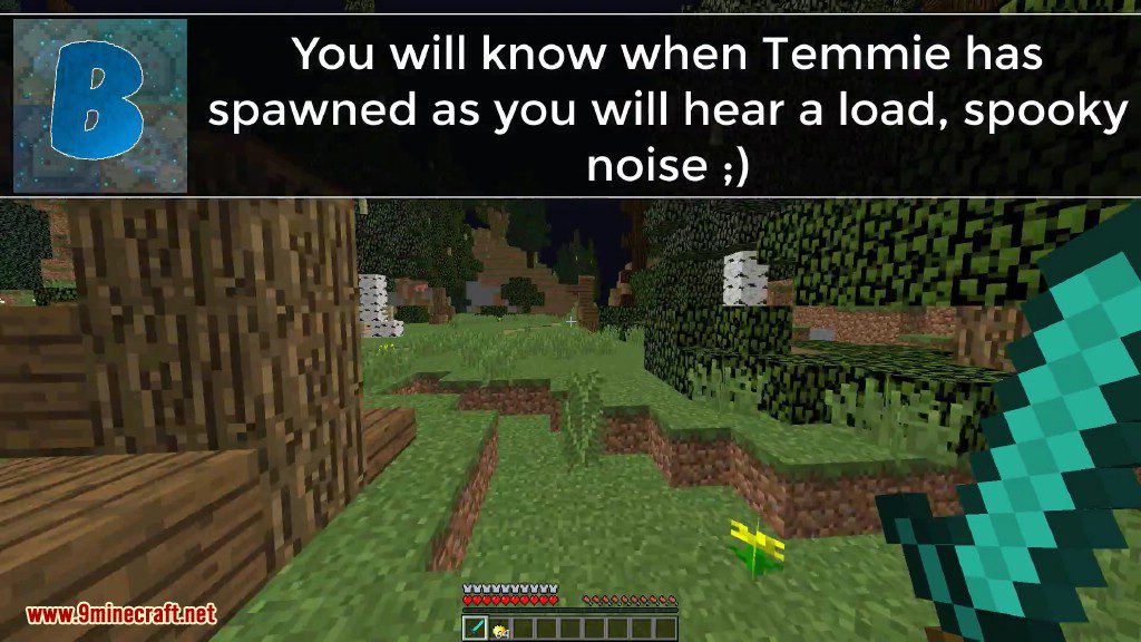 Temmie Boss Battle Command Block Screenshots 3