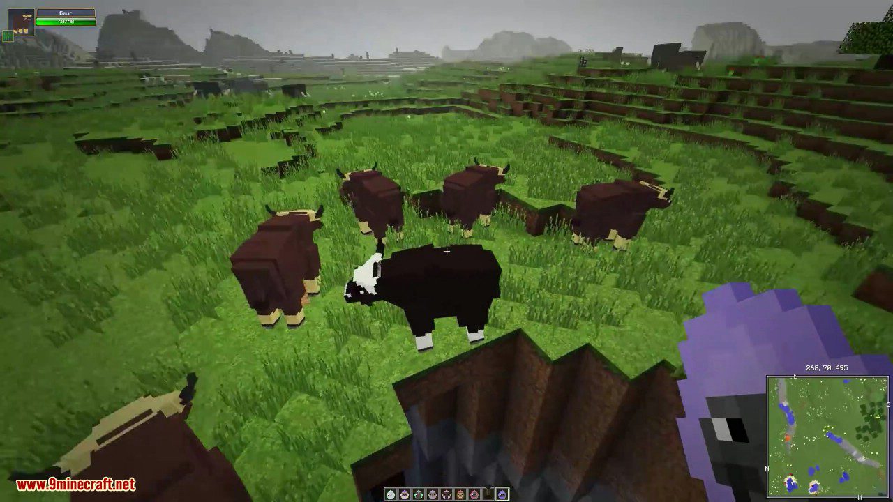 Zoo & Wild Animals Mod Screenshots 30