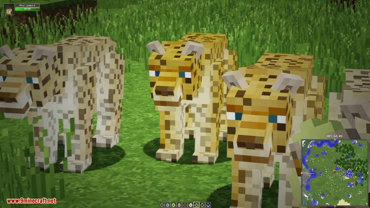 Zoo & Wild Animals Mod Screenshots 54