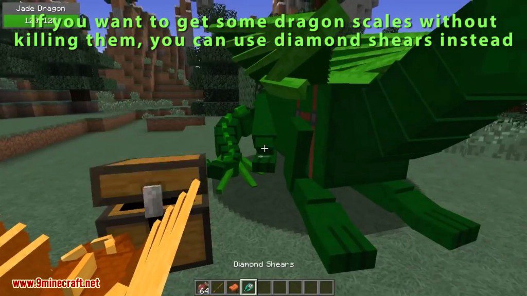 Realm of The Dragons Mod Features 17