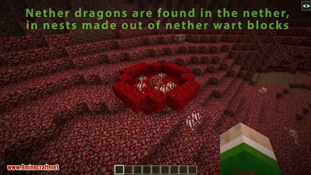 Realm of The Dragons Mod Features 18