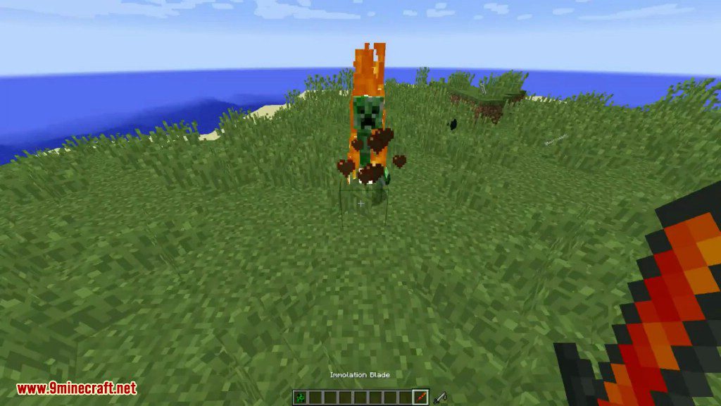 Wither Skeleton Tweaks Mod Screenshots 10