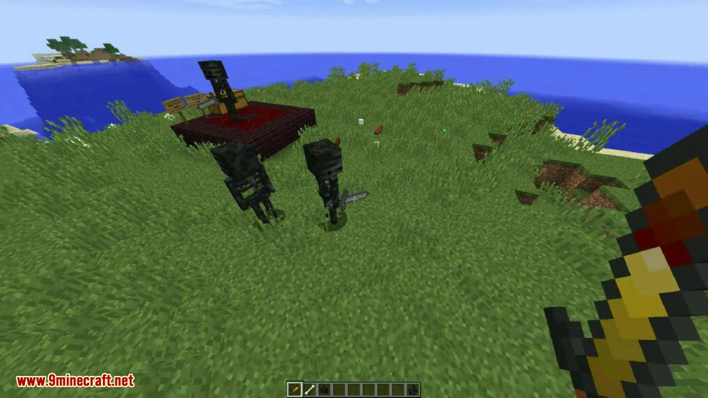 Wither Skeleton Tweaks Mod Screenshots 8