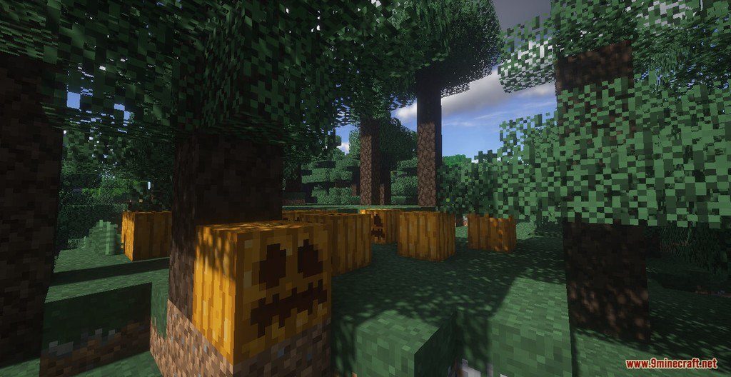 Hans Resource Pack Screenshots 5