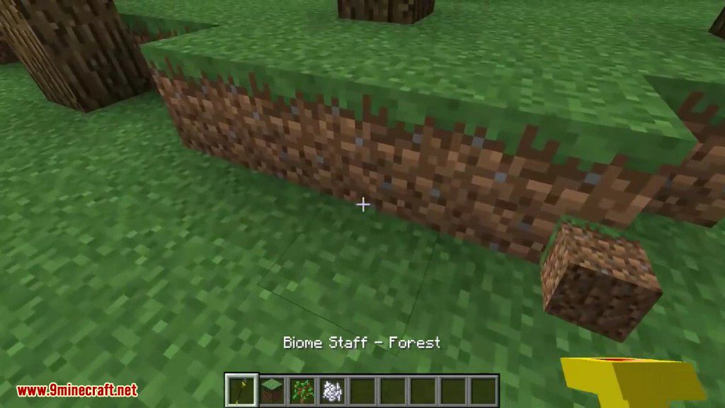 Biome Staff Mod Screenshots 2