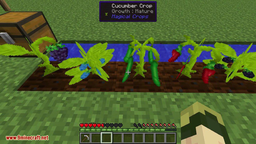 Magical Crops Mod Screenshots 1