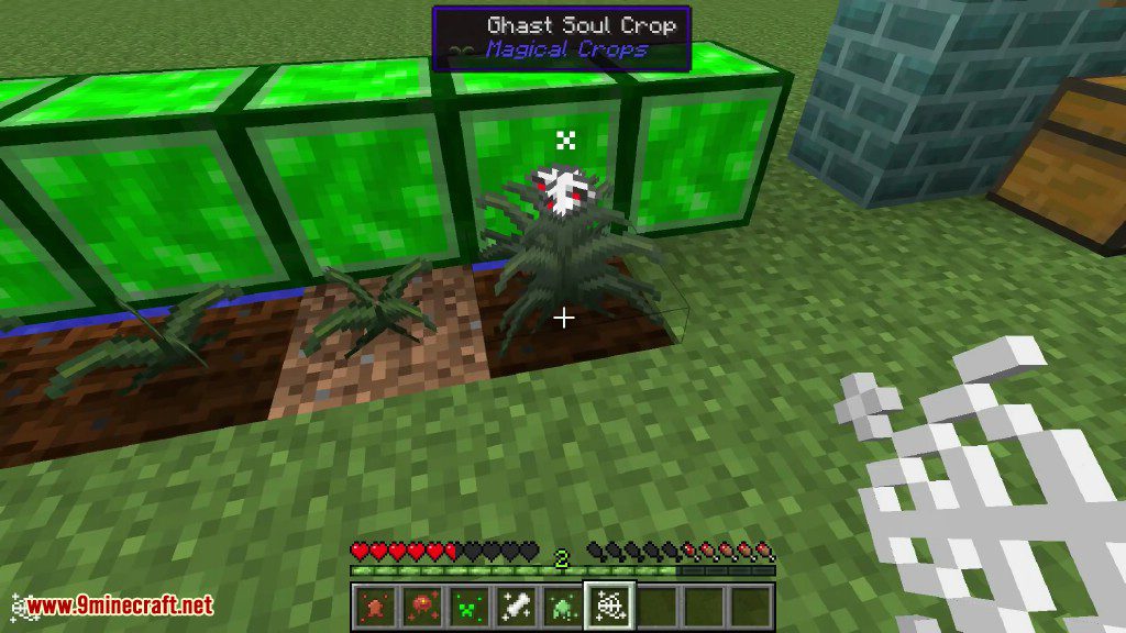 Magical Crops Mod Screenshots 13