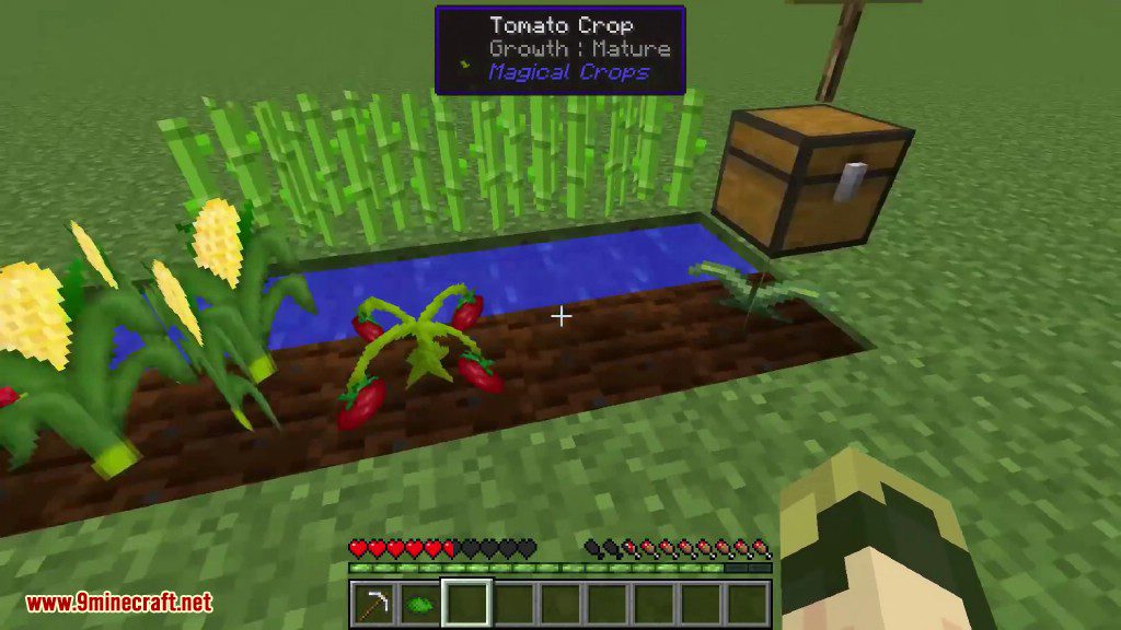 Magical Crops Mod Screenshots 2