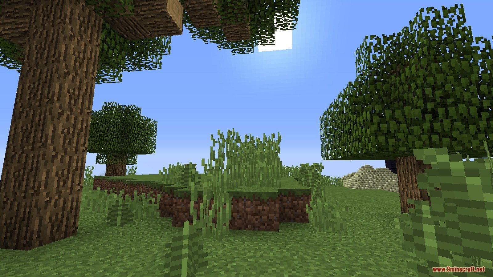 Super Skyblock Land Map Screenshots (2)